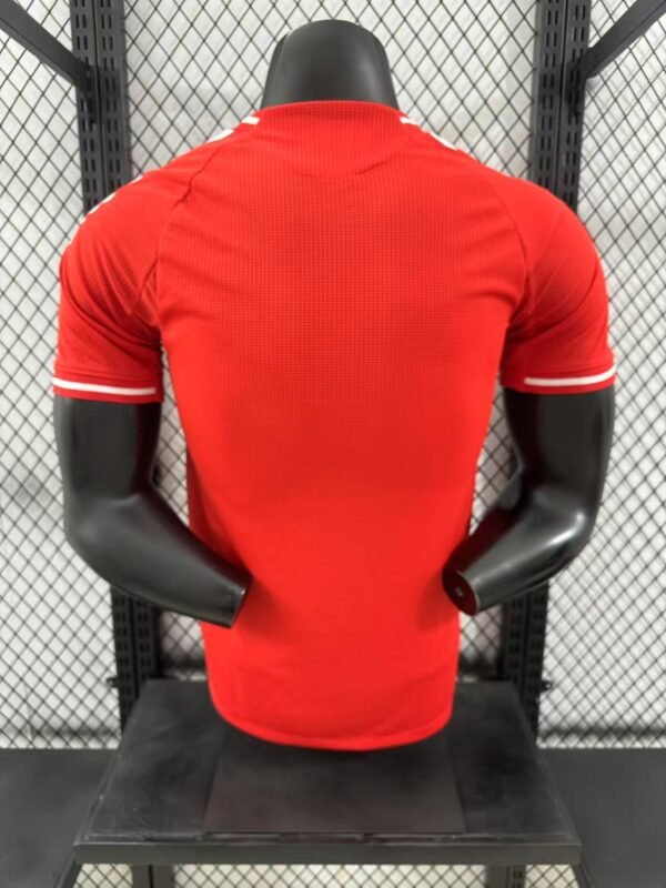 2526 Liverpool Red - Image 10