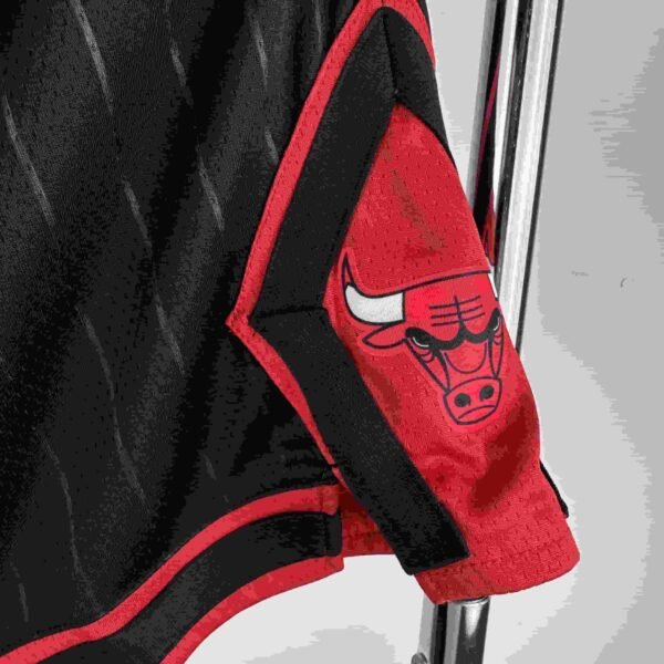 23rd season Bulls Flyers limited edition shorts - Image 5